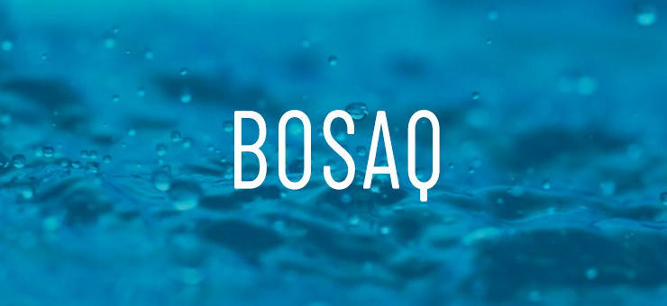 bosaq | Migration to WordPress
